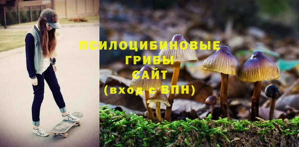 каннабис Горнозаводск