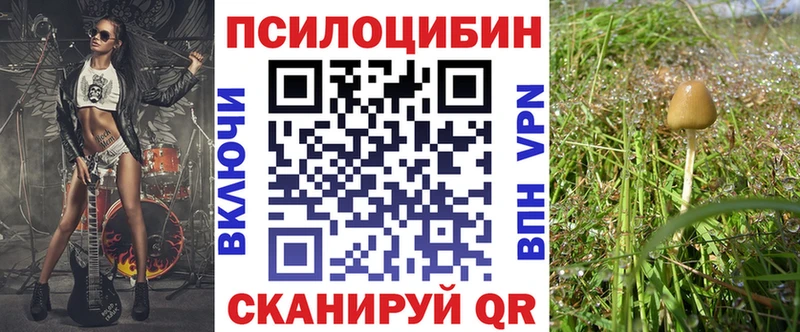 купить  сайты  Коряжма  Псилоцибиновые грибы Psilocybine cubensis 